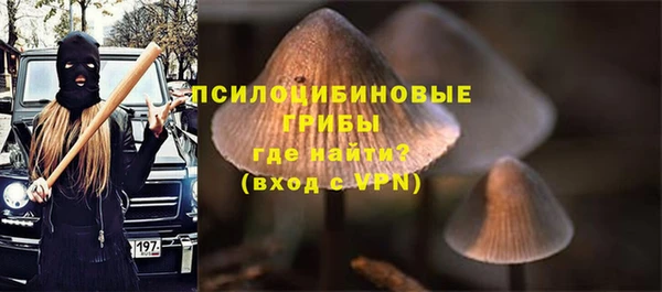 бошки Ладушкин