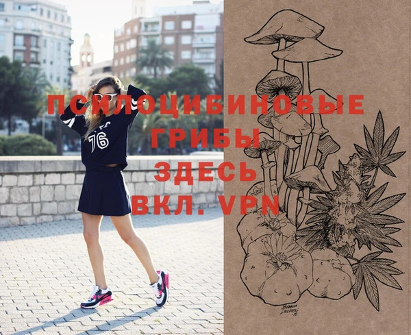 бошки Ладушкин