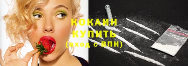 бошки Ладушкин