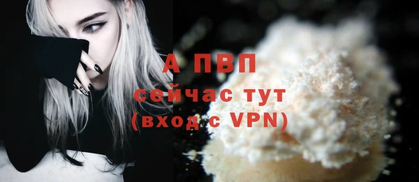 бошки Ладушкин