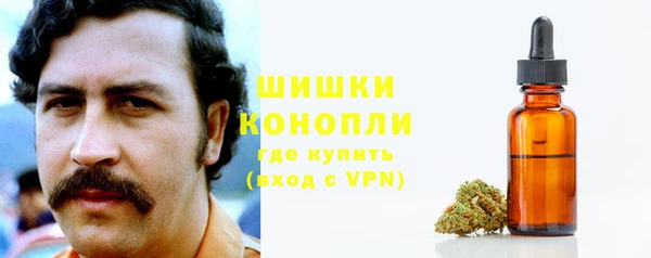 бошки Ладушкин