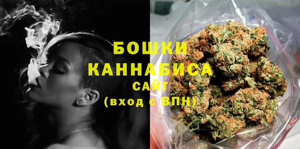 бошки Ладушкин