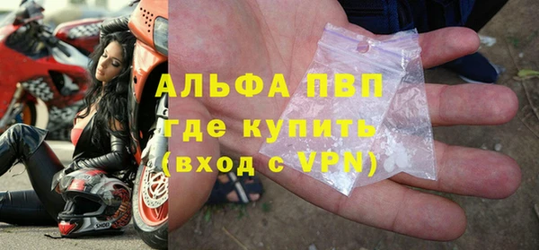 бошки Ладушкин